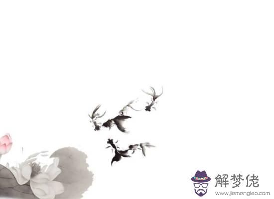 2020年生肖屬馬女和生肖屬馬男可以結婚嗎,會相愛嗎
