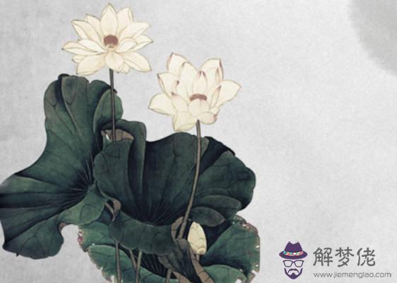 2020年2月生肖屬猴人的桃花運好不好,能脫單嗎