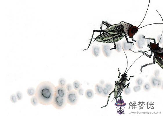 2020鼠年3月份生肖屬猴人能遇上貴人嗎,運勢如何