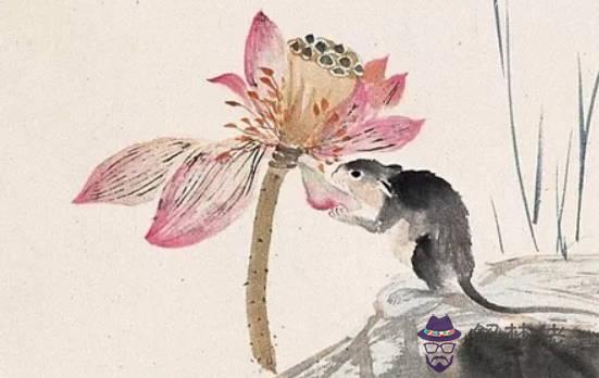 2020年屬羊害太歲是什麼意思,害太歲要佩戴什麼