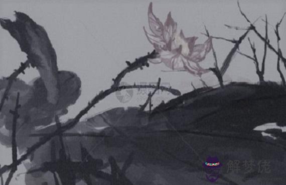 2020鼠年生肖屬猴和生肖屬猴可以戀愛嗎,會相沖嗎