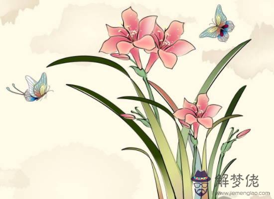 2020年生肖屬兔女和生肖屬狗男可以結婚嗎,婚姻會幸福嗎