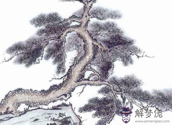 2020年生肖屬兔女和生肖屬狗男可以結婚嗎,婚姻會幸福嗎