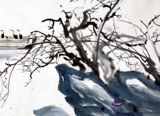 2020年生肖屬兔女和生肖屬羊男可以結婚嗎,婚配如何