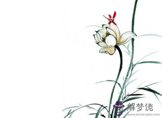 2020年生肖屬兔女和生肖屬猴男可以結婚嗎,會相愛嗎