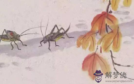 2020鼠年3月生肖屬牛和生肖屬豬能結婚嗎,婚配如何