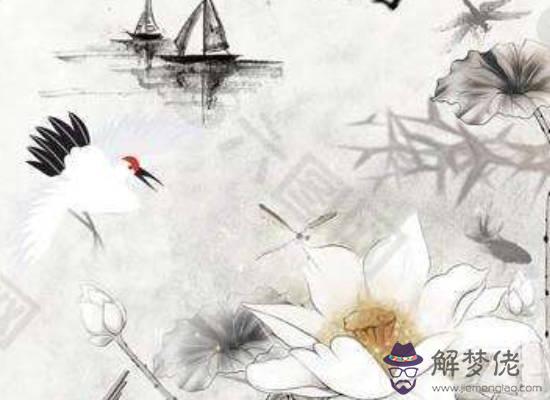 2020年生肖屬兔女和生肖屬龍男可以結婚嗎，婚配好不好