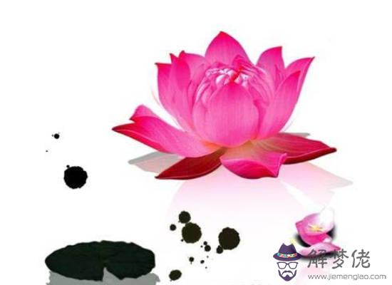 生肖屬牛媽媽和生肖屬豬爸爸生什麼屬相的寶寶好