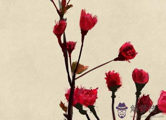 2020本命年可以蓋房裝修嗎，能搬新房子嗎