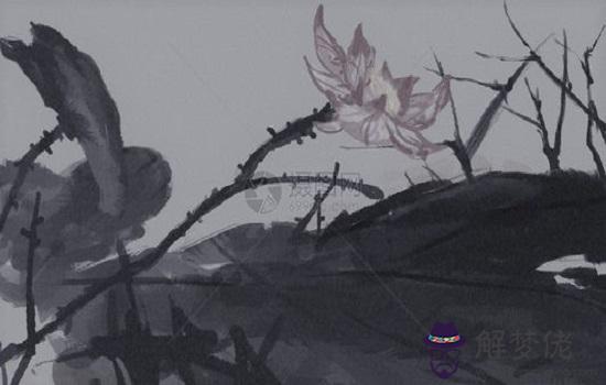 2020鼠年生肖屬兔和生肖屬雞可以戀愛嗎,會幸福嗎