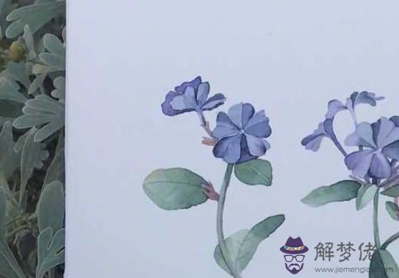 生肖屬牛媽媽和生肖屬蛇爸爸適合生什麼屬相的孩子