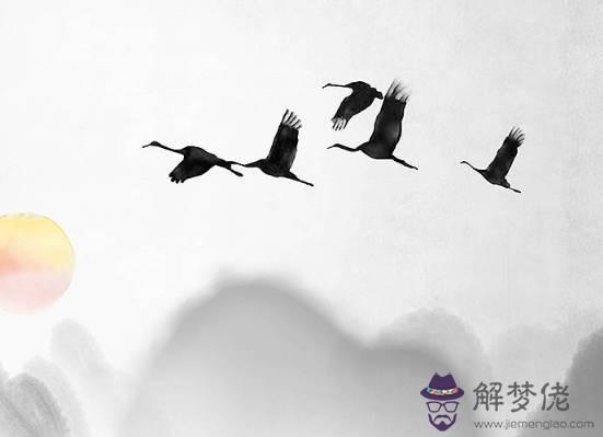 2020生肖屬鼠本命年可以創業開公司嗎?事業運怎麼樣