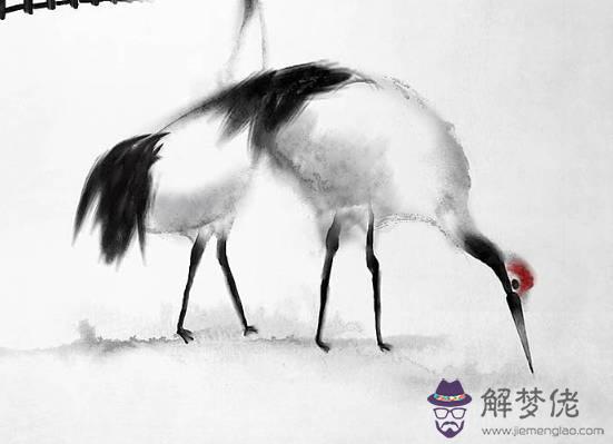 生肖屬鼠的人在本命年可以過生日嗎?都有什麼要注意的嗎