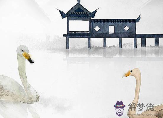 生肖屬鼠的人在本命年可以過生日嗎?都有什麼要注意的嗎