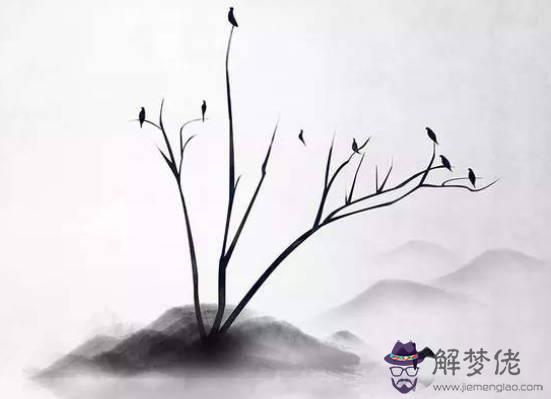 2020鼠年1月生肖屬蛇和生肖屬蛇結婚好不好,會相沖嗎