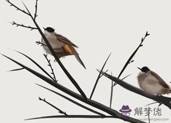 2020鼠年1月生肖屬蛇和生肖屬馬結婚好不好,會相合嗎