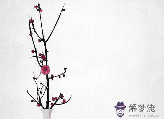 2020鼠年1月生肖屬馬和生肖屬豬適合結婚嗎,哪天領證好