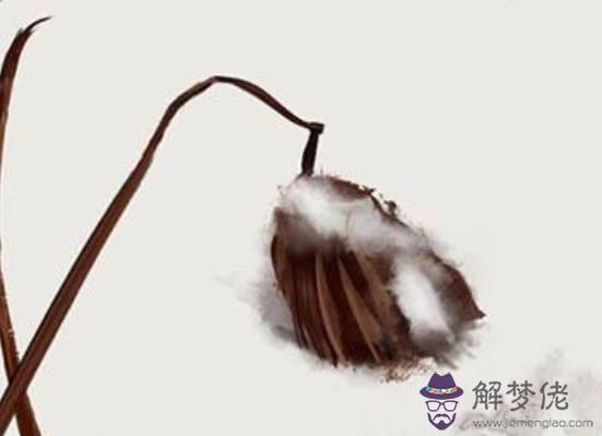 生肖屬牛媽媽和生肖屬虎爸爸2020年適合生小孩嗎，會合嗎