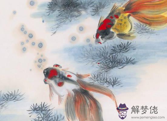 2020鼠年生肖屬猴人的桃花運好不好，要怎麼提升桃花運