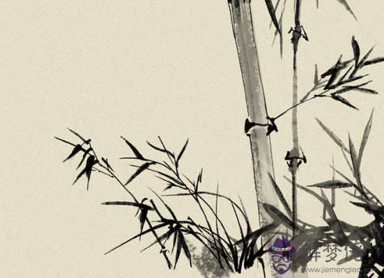 2020鼠年1月生肖屬兔和生肖屬豬可以結婚嗎，相合相沖相克