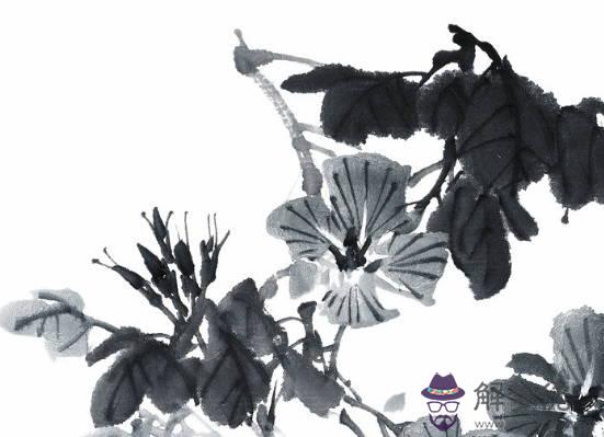 2020鼠年1月生肖屬虎和生肖屬羊適合結婚嗎,會相合嗎