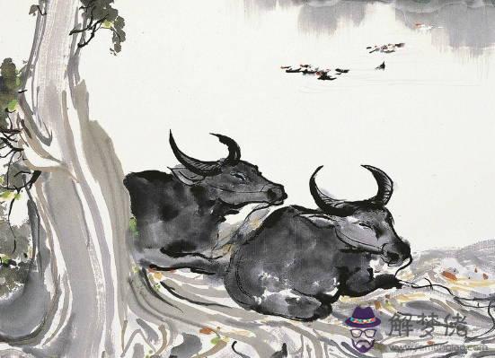 2020鼠年1月生肖屬虎和生肖屬猴適合結婚嗎,夫妻相克嗎