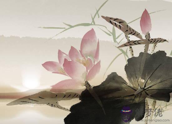 2020鼠年生肖屬雞人的感情運如何，婚姻會幸福嗎