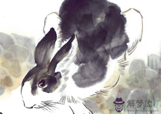 2020鼠年生肖屬雞和生肖屬狗結婚好不好,會相沖嗎