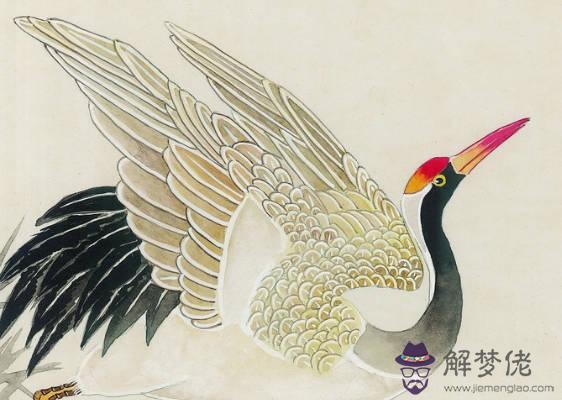 2020鼠年生肖屬狗和生肖屬狗結婚好不好，會相沖嗎