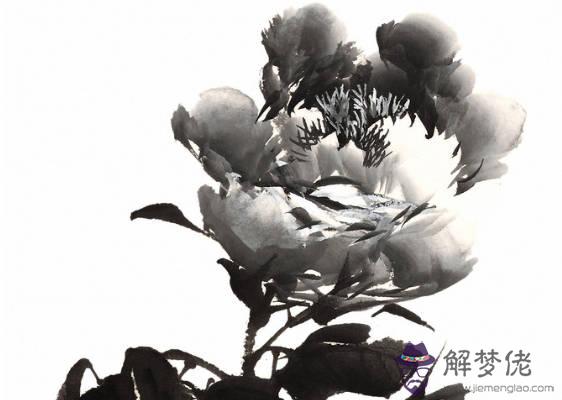 2020鼠年生肖屬狗和生肖屬豬結婚好不好,會相沖嗎