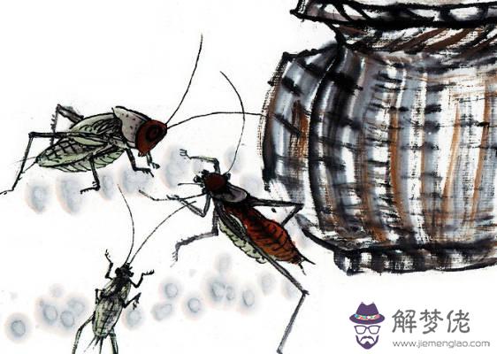 2020鼠年生肖屬豬和生肖屬豬結婚好不好,會相沖嗎