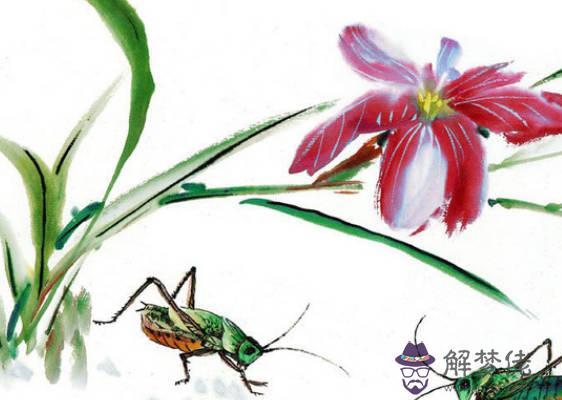 2020鼠年生肖屬羊和生肖屬羊能結婚嗎,婚配好嗎