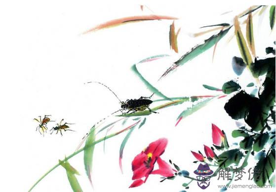 2019年12月生肖屬龍人的桃花運好嗎，如何提升桃花運