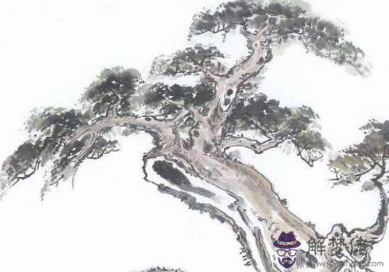 2020鼠年1月生肖屬猴人的財運好不好,運勢如何