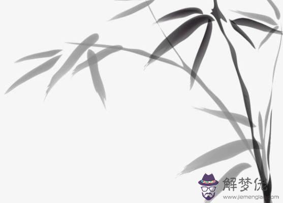 2019豬年12月生肖屬虎人運勢如何，怎麼提升運勢