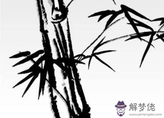 2019豬年12月份生肖屬狗人貴人運好不好,適合創業嗎