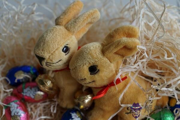 生肖兔最吸引人的地方 感情細膩善解人意