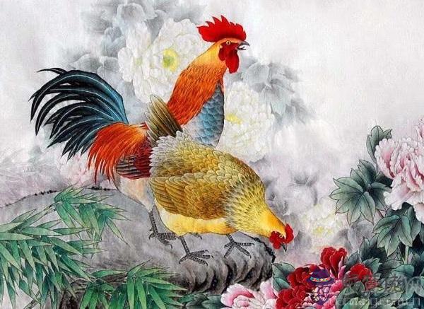 屬雞的人哪年犯太歲 屬雞的本命年會犯太歲