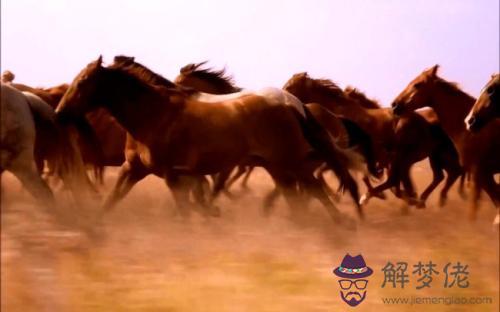 金馬年是哪一年 庚午年就是金馬年