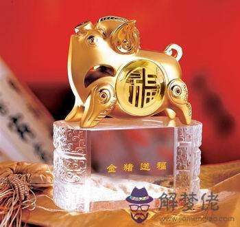 金豬五行屬金嗎 金豬五行屬土