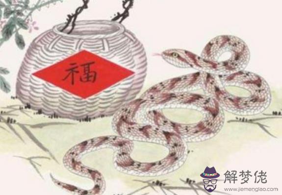 屬蛇的人五行與命運，金蛇有王者之相