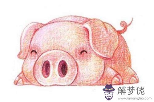 屬豬女生本命年送什麼,這5樣最合適