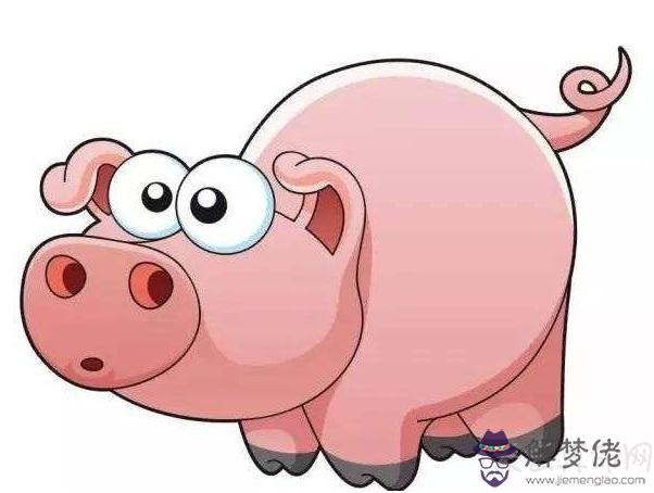 過往之豬是什麼意思 生肖屬豬的山頭火命人