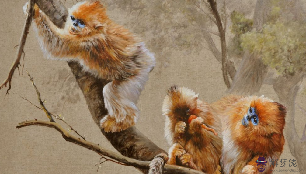 金猴年是哪一年 金猴年出生的命格如何