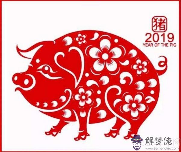 土豬是哪些年份 今年2019年是土豬年