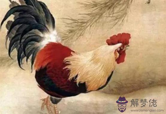 屬雞的人五行與命運,五行不同命運不同