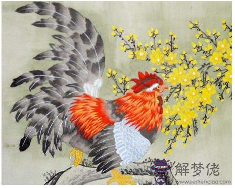 屬雞的人五行與命運,五行不同命運不同