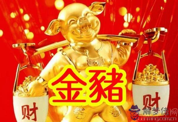 金豬年多少年遇一次揭密 60年一遇金豬年