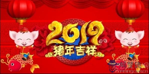 今年是金豬年嗎 2019年不是金豬年而是土豬年
