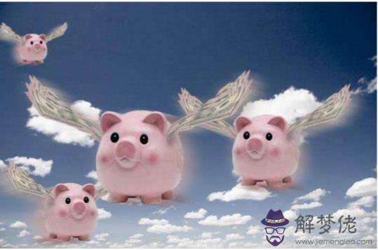 多少年一個金豬年,距下個金豬年還有12年